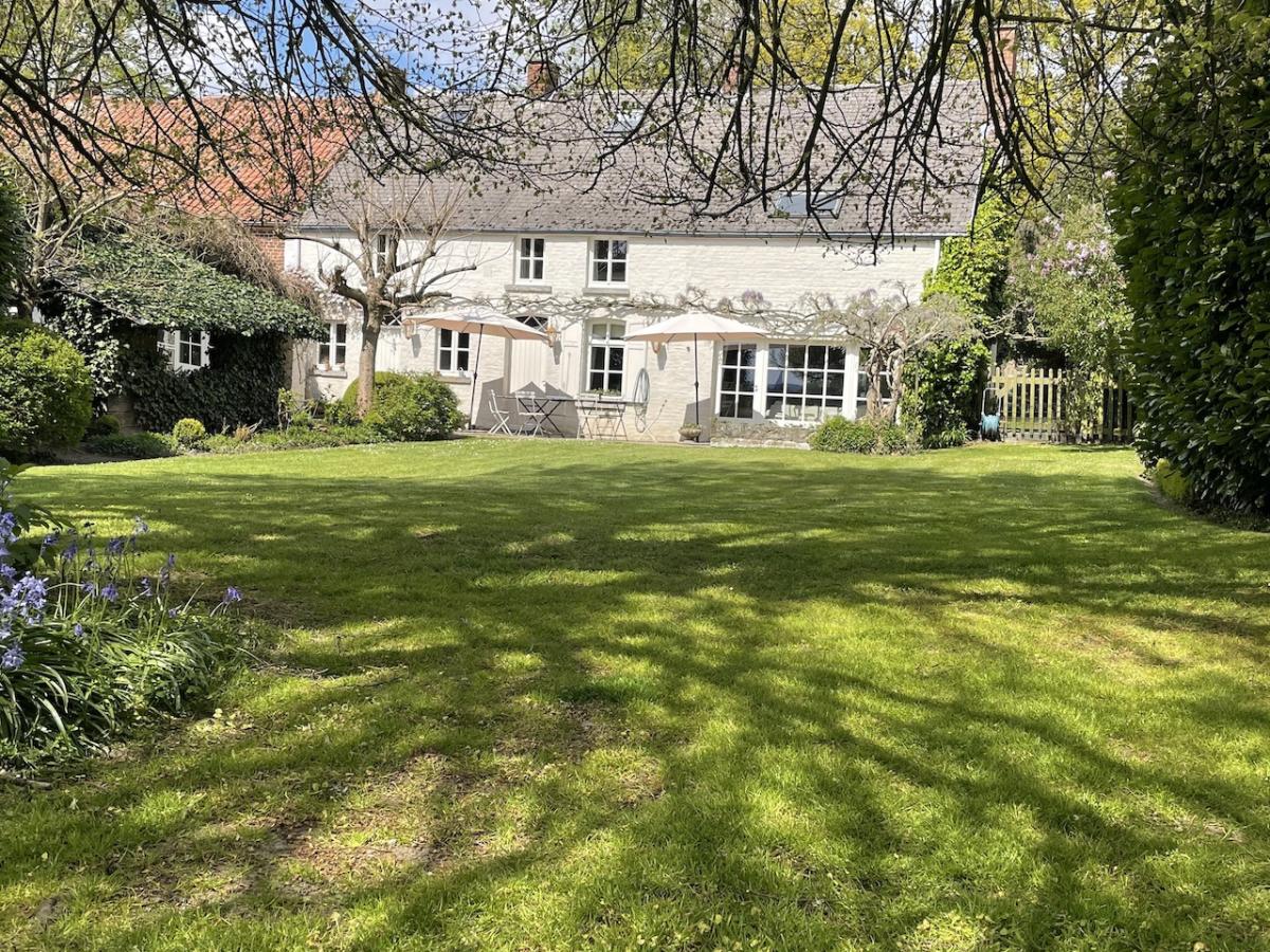 A spacious yard surrounds a charming white house, featuring large windows and dual outdoor seating areas. The well-maintained grass is dotted with trees, providing shade. A sense of tranquility is created by the lush greenery and vibrant flowers in the foreground.