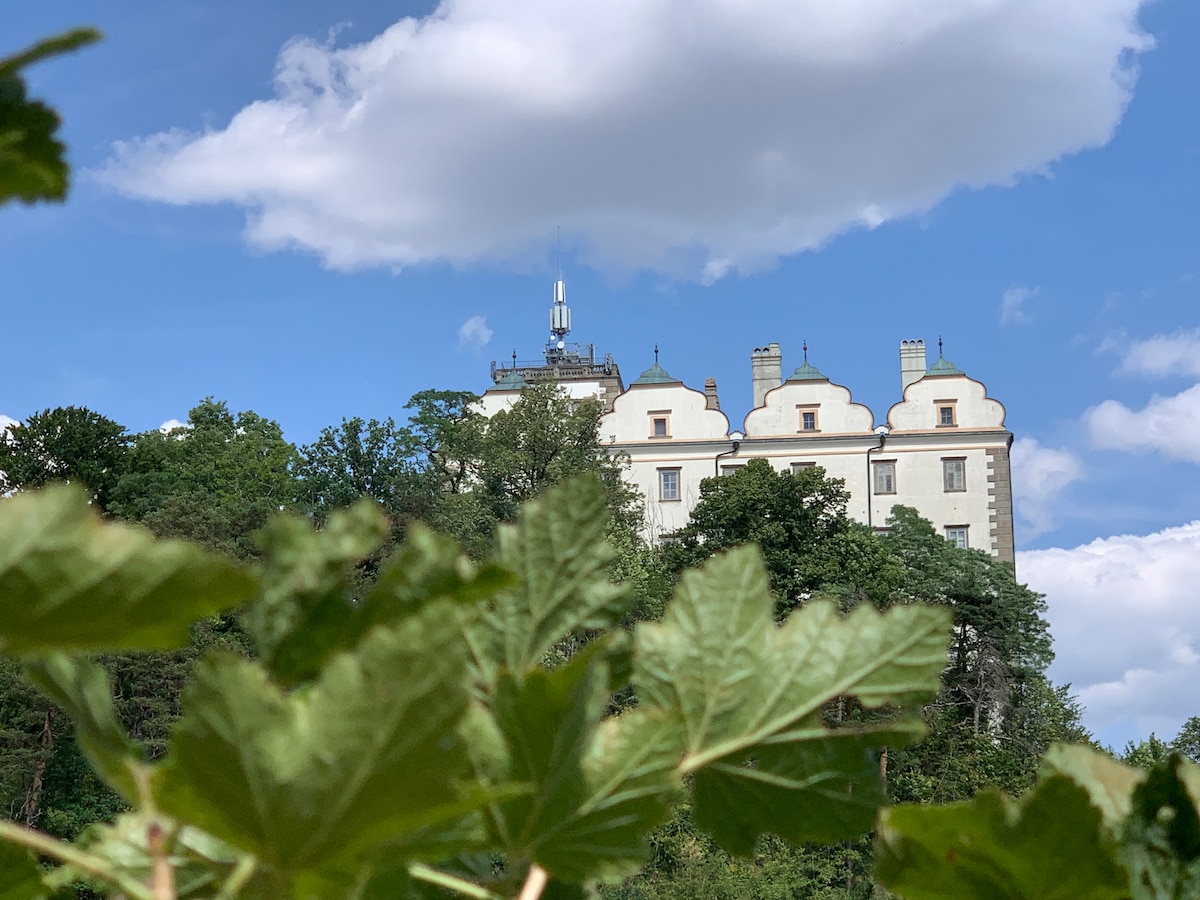 The image captures a distant view of a historic building against a bright blue sky, framed by lush greenery in the foreground. The structure features distinctive architectural details, including multiple chimneys and an ornate roofline, surrounded by trees.