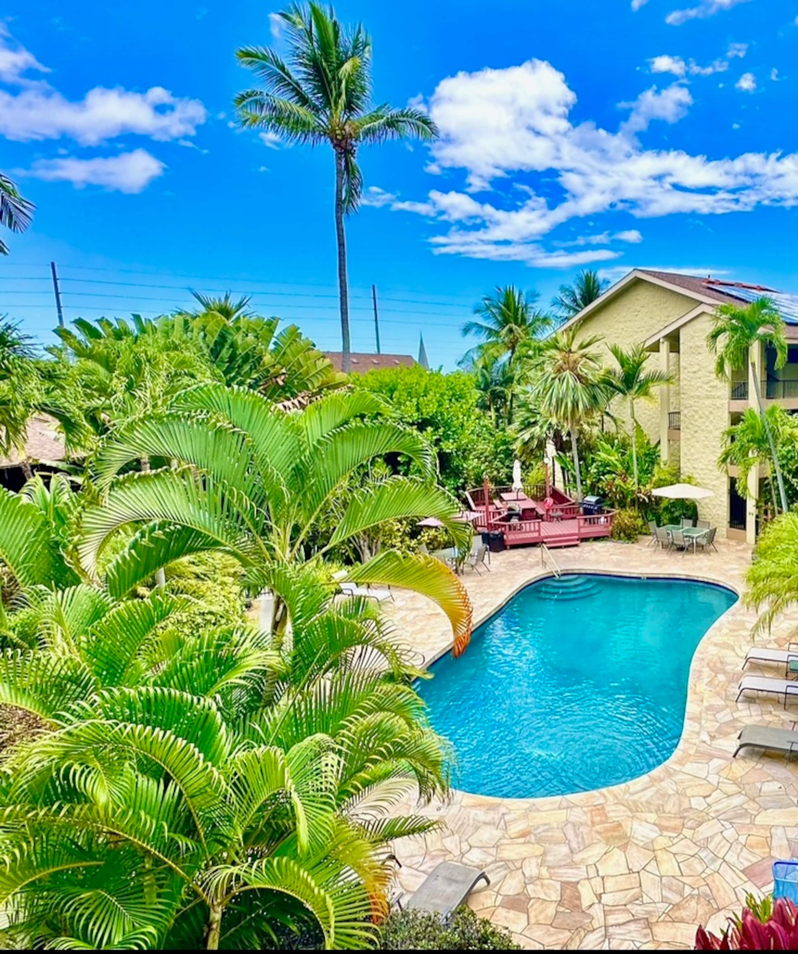 Private, 5 minutes to downtown & beach - Photo 23