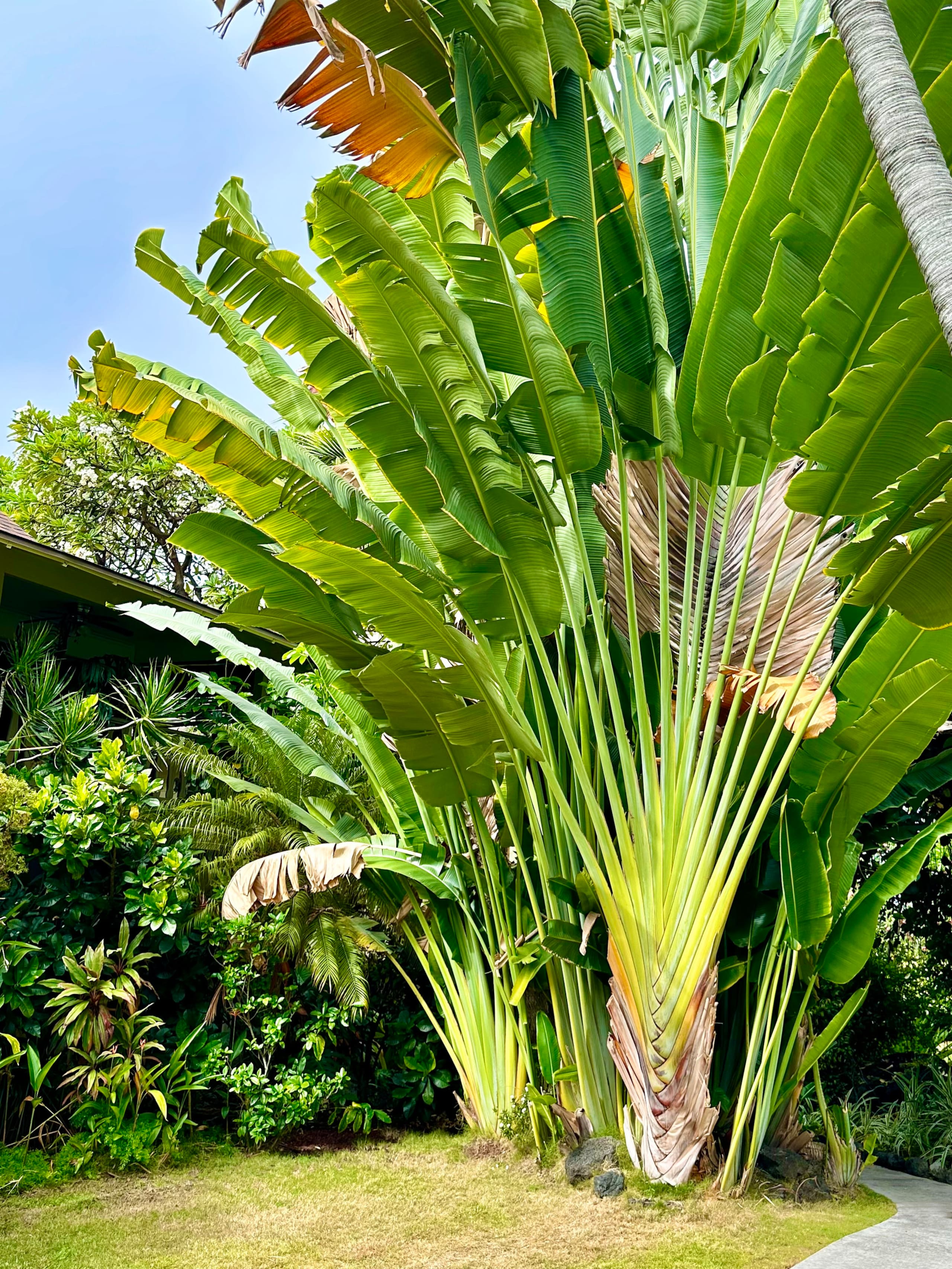 Private, 5 minutes to downtown & beach - Photo 35