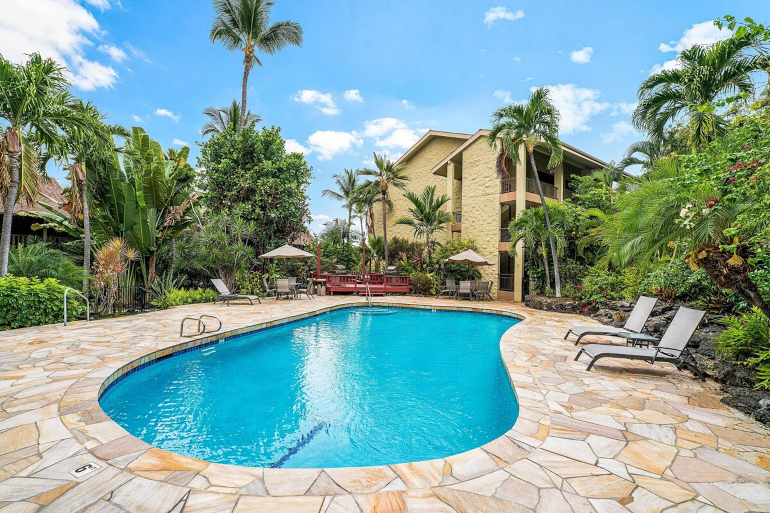 Private, 5 minutes to downtown & beach - Photo 24