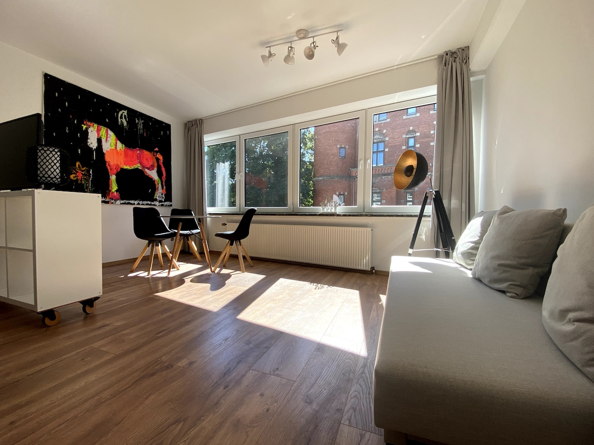 Successful Airbnb property: Apartment 1+2 at the Schloßwall in Oldenburg (Oldb)