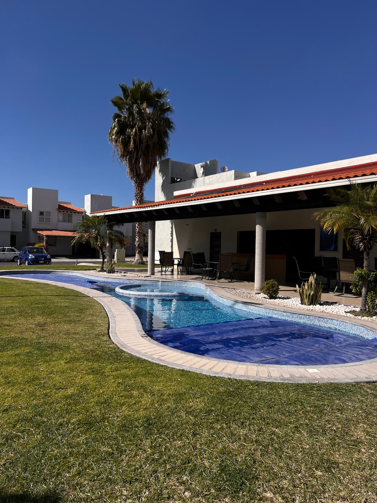 A serene outdoor space features a curved swimming pool surrounded by manicured grass and palm trees. The pool is complemented by a shaded seating area beneath a covered patio, providing ample room for relaxation and enjoyment.