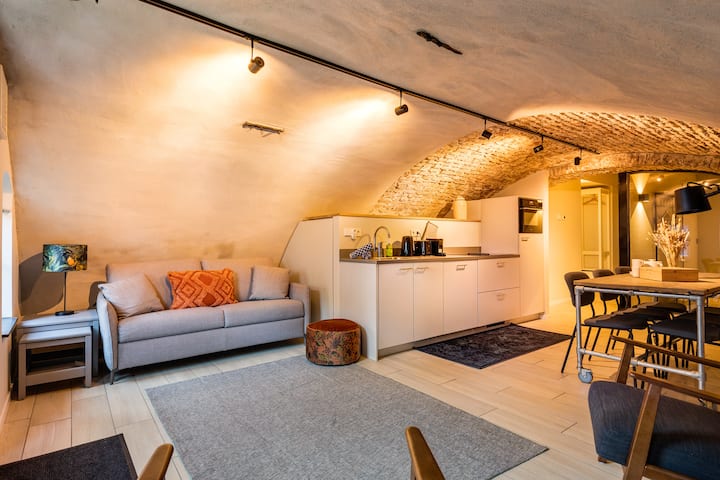 2 Apartments / 6p. / 3 Bedrooms / 2 Kitchens - Utrecht, Países Bajos