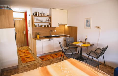 Sunny Apartment | Mountain View
