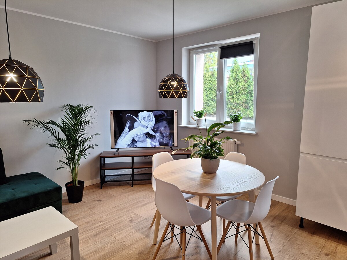A modern dining area features a round table surrounded by white chairs, complemented by a decorative plant in the corner. A sleek television rests on a minimalistic stand, and natural light enters through a window adorned with a partial blind, adding warmth to the space.