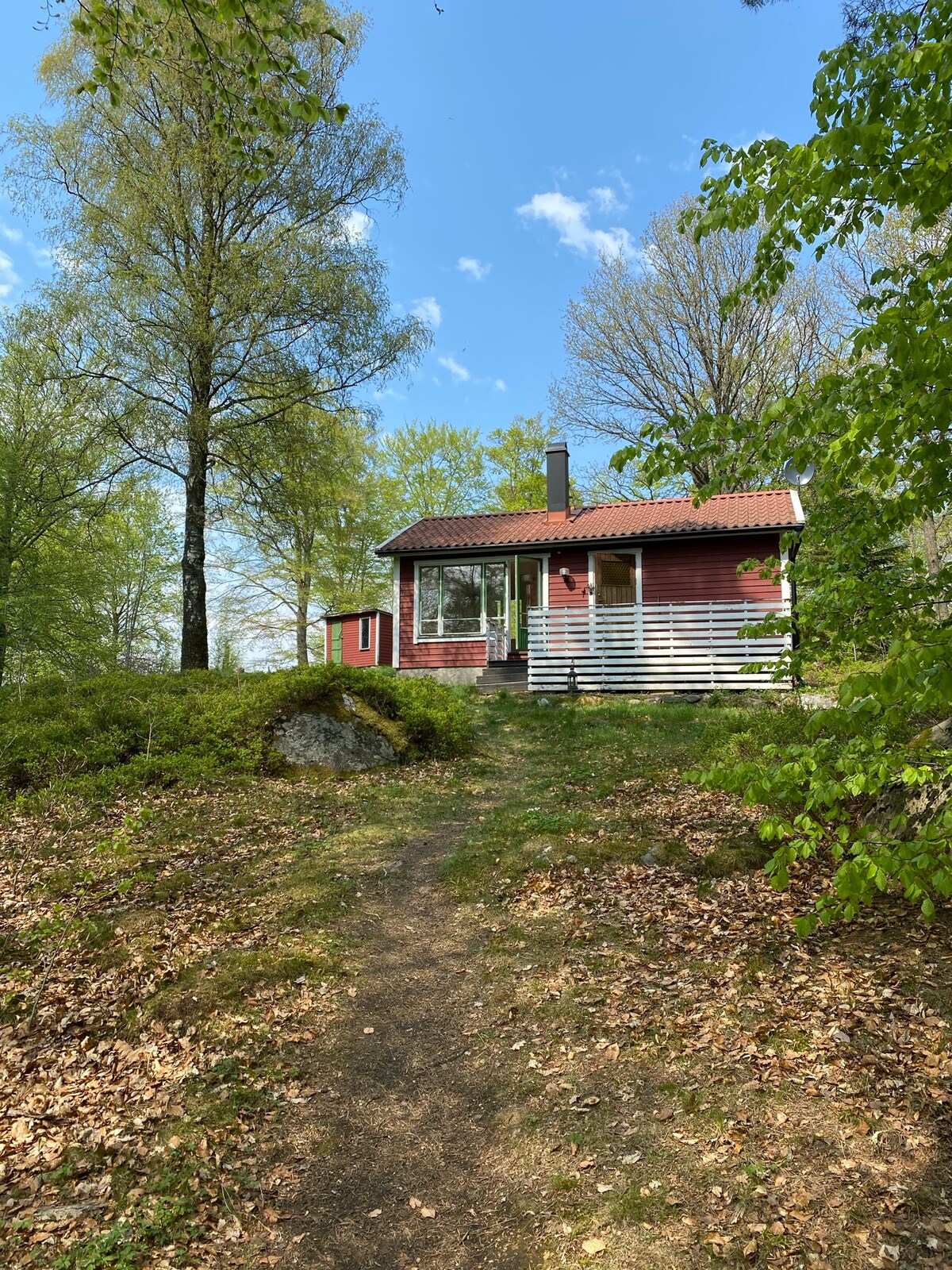 A cozy red cabin is surrounded by lush green trees and shrubs. A clear pathway leads to the entrance, featuring a white railing and a welcoming porch. The exterior showcases a traditional design, with large windows allowing natural light into the space.