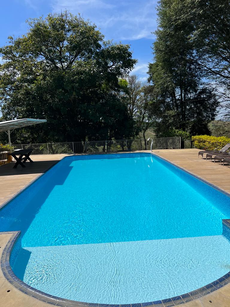 A rectangular swimming pool is surrounded by a wooden deck, with sun loungers positioned nearby. Lush greenery and tall trees provide a natural backdrop, while clear blue water shimmers under sunlight. A shaded area with a canopy offers a space for relaxation.