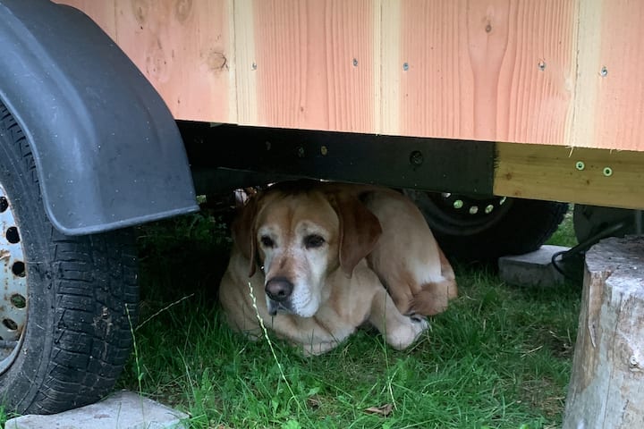 ร่มเงาของวันที่อากาศร้อน