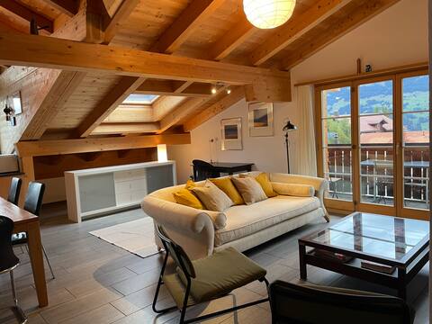 Attica apartment in the Alps