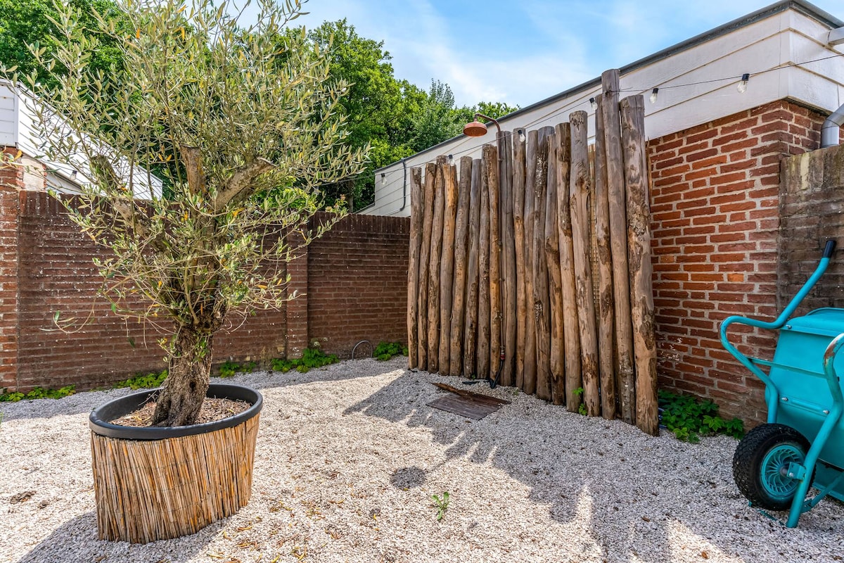 A landscaped outdoor area features a decorative olive tree in a circular pot, surrounded by white gravel. A rustic wooden fence adds texture to the background, while a teal wheelbarrow rests in the corner, contributing to the garden's cozy ambiance.