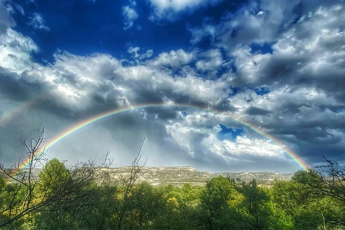 A vibrant rainbow arcs across a sky filled with dramatic clouds, framed by lush green trees below. The landscape reveals rugged hills in the background, creating a serene contrast to the colorful display above.