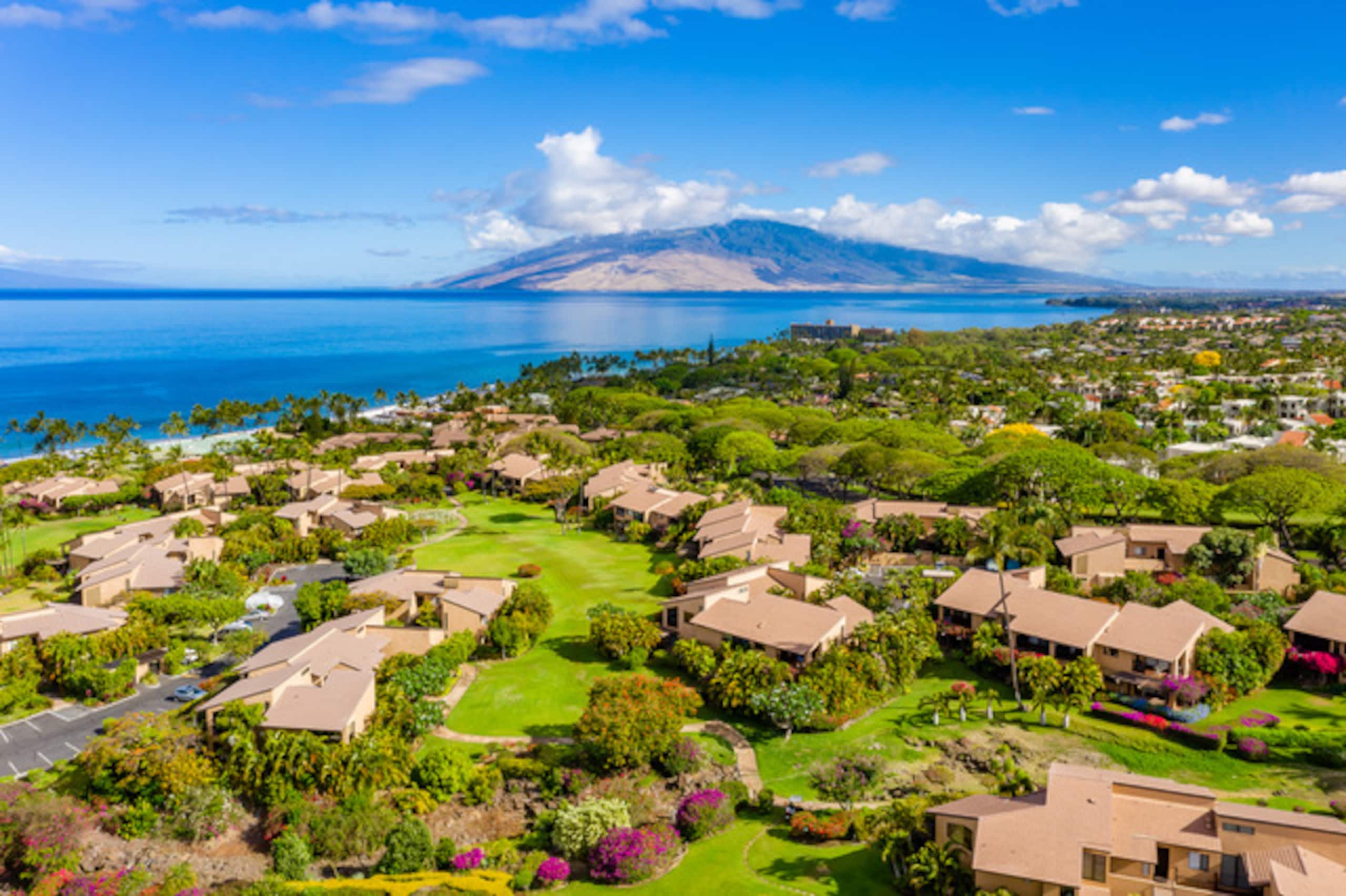 Condo in Wailea · ★4.94 · 1 bedroom · 2 beds · 1 bath - Image 30