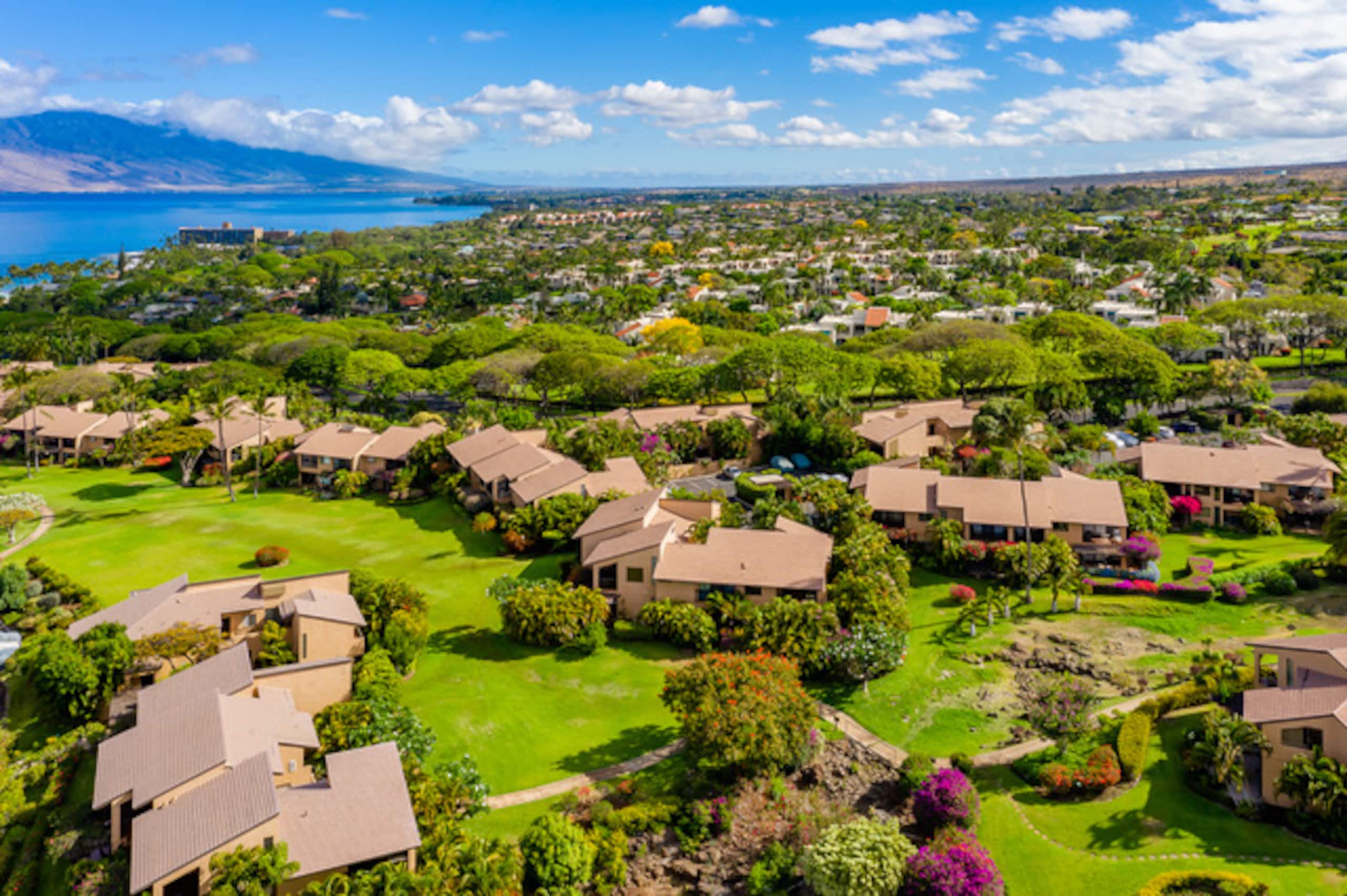 Condo in Wailea · ★4.94 · 1 bedroom · 2 beds · 1 bath - Image 31
