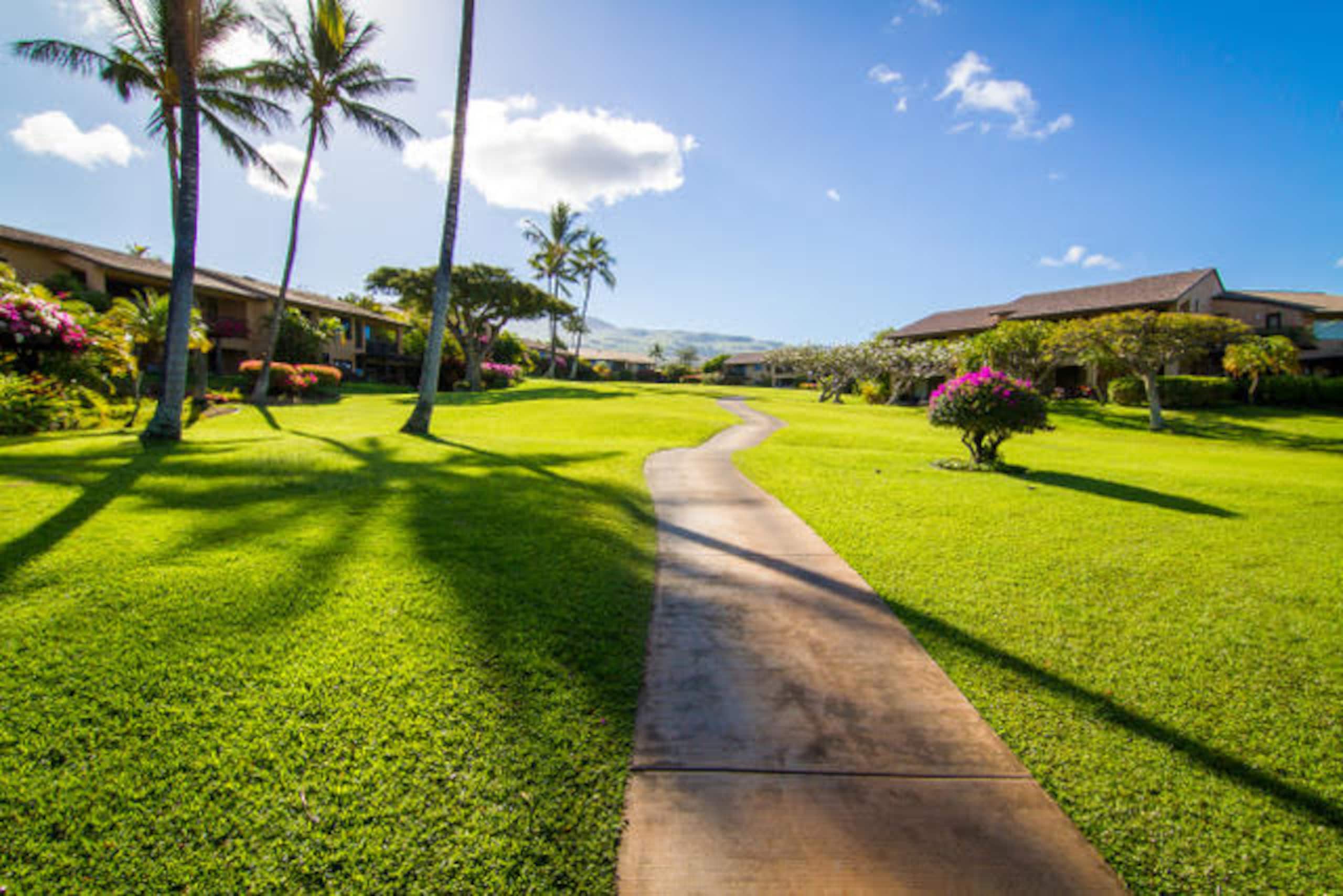 Condo in Wailea · ★4.94 · 1 bedroom · 2 beds · 1 bath - Image 36