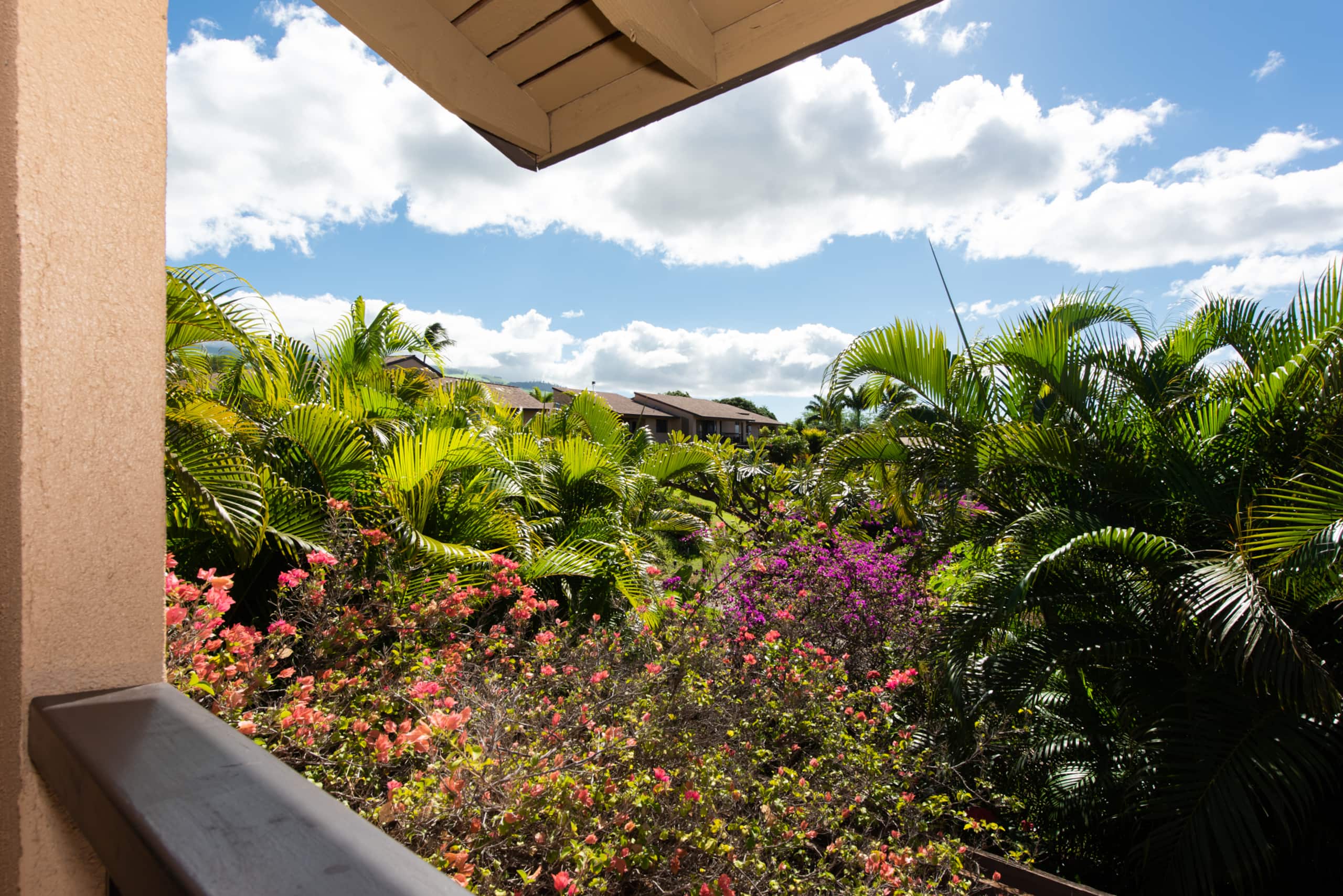 Condo in Wailea · ★4.94 · 1 bedroom · 2 beds · 1 bath - Image 24