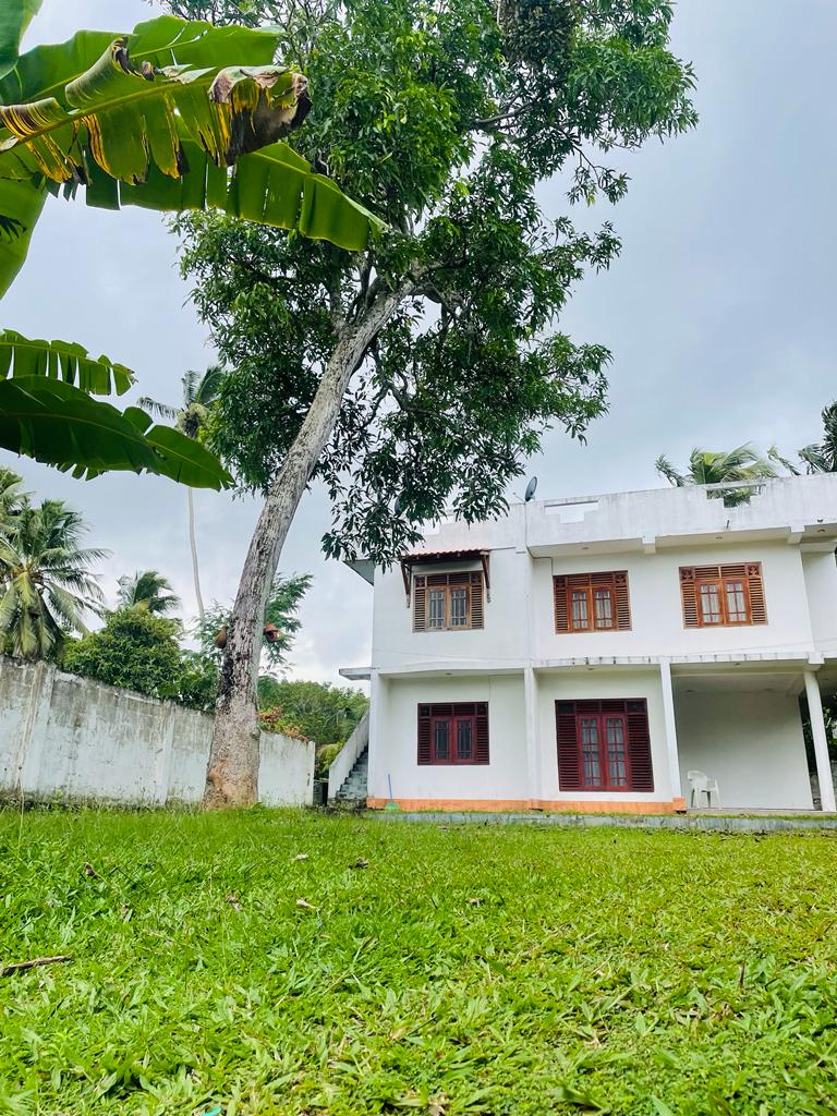 Calm Residence - One - Apartments for Rent in Galle, Southern Province ...