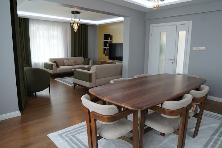 A Luxurious Villa Near Airport. gallery image 4