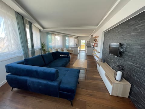 Spacious apartment and its rooftop.