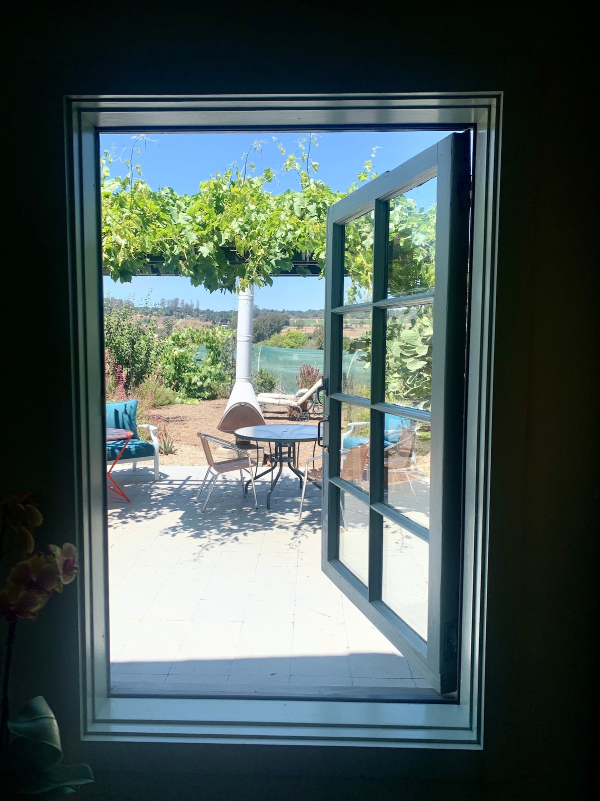 A view from within the house frames an outdoor patio area, featuring a table and chairs partially shaded by lush green vines. The inviting garden beyond is filled with various plants and flowers, creating a connection between indoor and outdoor spaces.