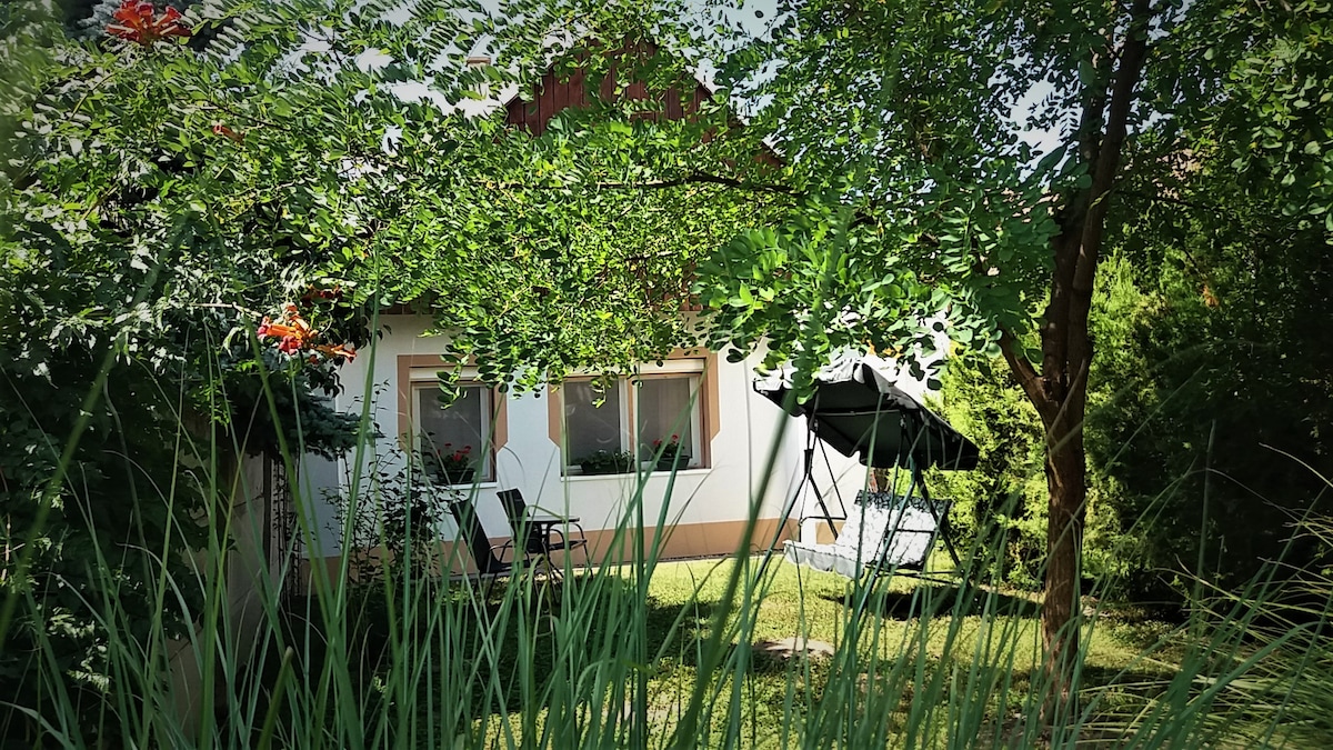 A tranquil exterior view of a house nestled among lush greenery. The white building features large windows and is accompanied by a shaded seating area with a black umbrella. Tall grasses frame the scene, enhancing the serene atmosphere of the garden.