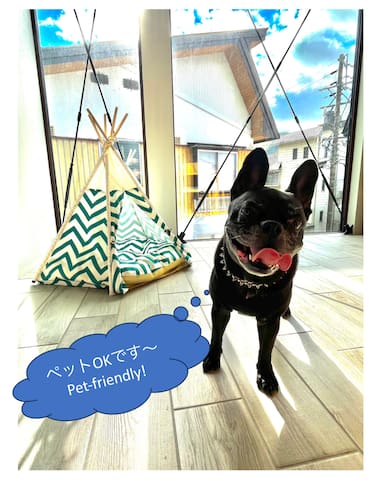 Nozawa Hospitality managed Airbnb listing 2