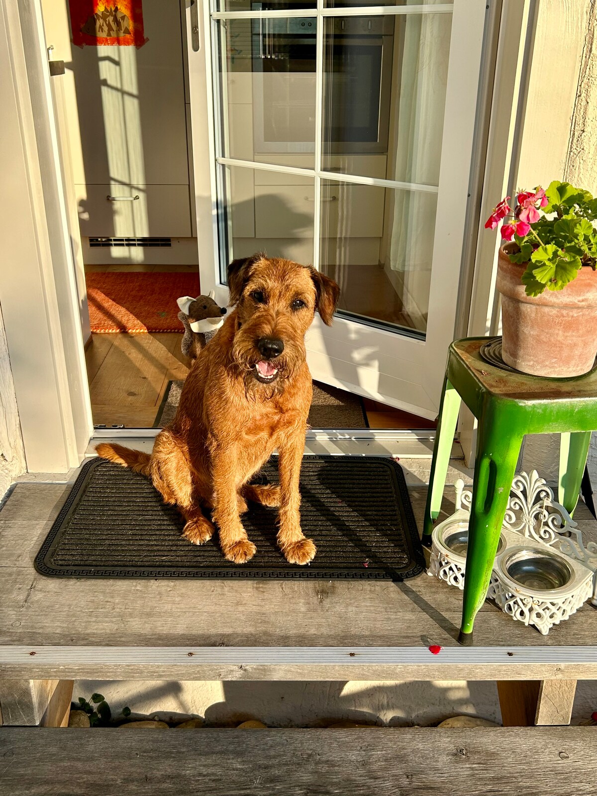 A welcoming outdoor area is shown with a wooden bench and a black mat positioned in front of a glass door. A potted plant with pink flowers rests on a green table nearby, creating an inviting entrance to the home.