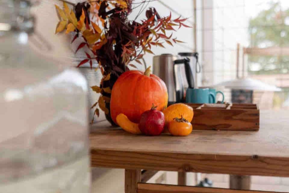 Filtered well water, organic coffee and local Numi tea on the back pergola SHARED with guests in Fall. In Winter this moves into the Kitchen Shed. at Bohemian Belle Yurt in Hidden 