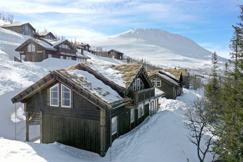 Great family cottage with Ski in/out