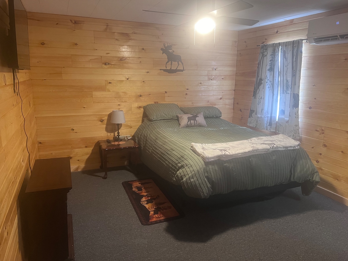 The room features warm wooden walls and a spacious bed with green bedding and decorative pillows. A bedside table holds a lamp, while a cozy area rug lies beneath. Natural light filters through a curtained window, and a TV is mounted on the wall.