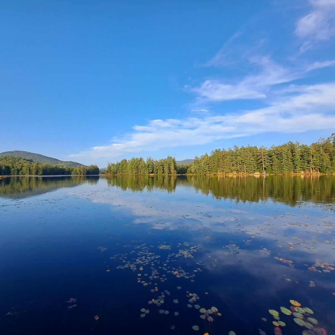 A serene lake is framed by lush greenery and distant hills under a clear blue sky. The calm waters reflect the surrounding trees and clouds, creating a peaceful natural scene. Floating lily pads add a touch of nature's beauty to the water's surface.