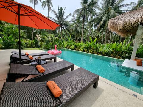 Bali-Inspired Villa with Infinity Pool