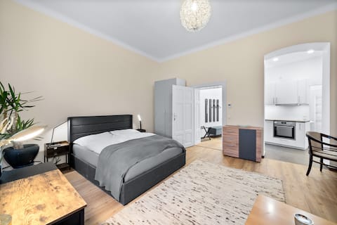 Top performing Airbnb: In the heart of Vienna in Josefstadt