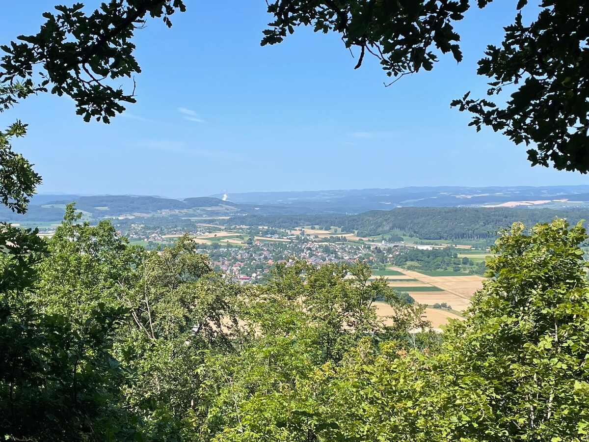 A panoramic view is captured from a wooded area, showcasing a landscape of rolling hills and valleys under a clear blue sky. A blend of greenery and agricultural fields stretches in the distance, with a small town visible among the trees.