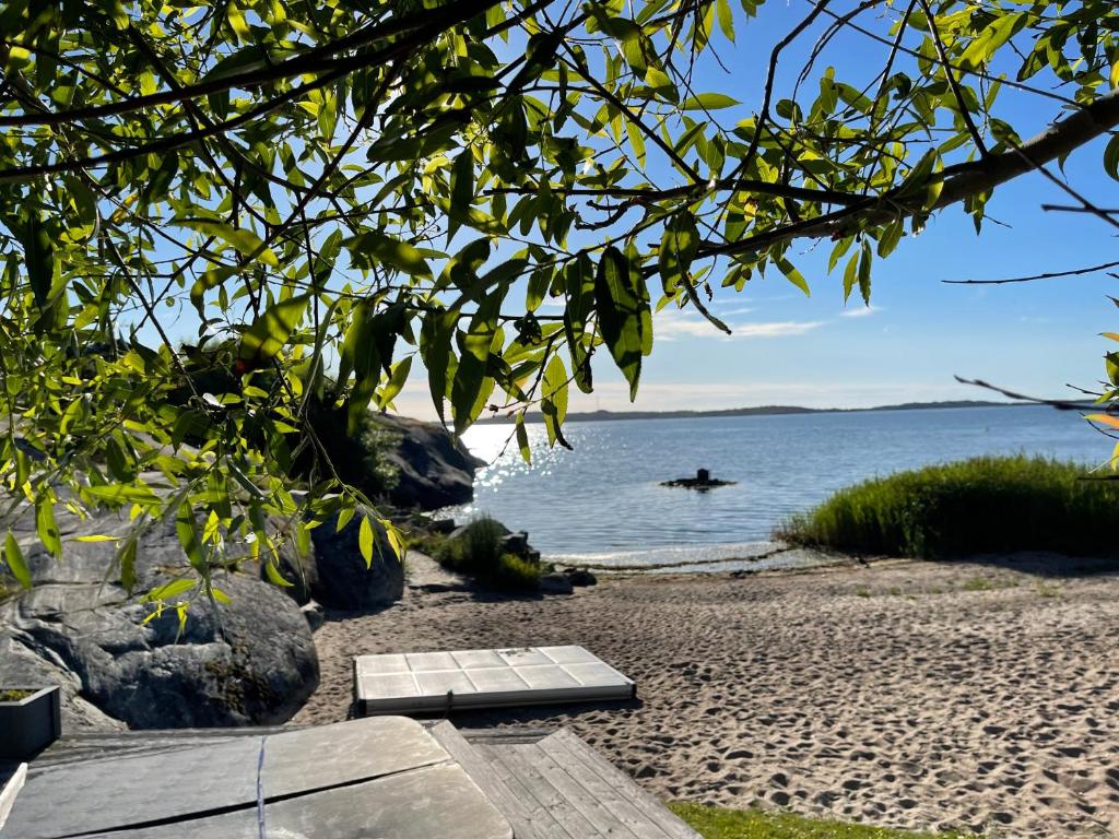 The image captures a serene beach scene framed by lush green branches. Soft sand meets calm waters reflecting sunlight, while rocky formations and grass add to the natural beauty of the coastal environment.