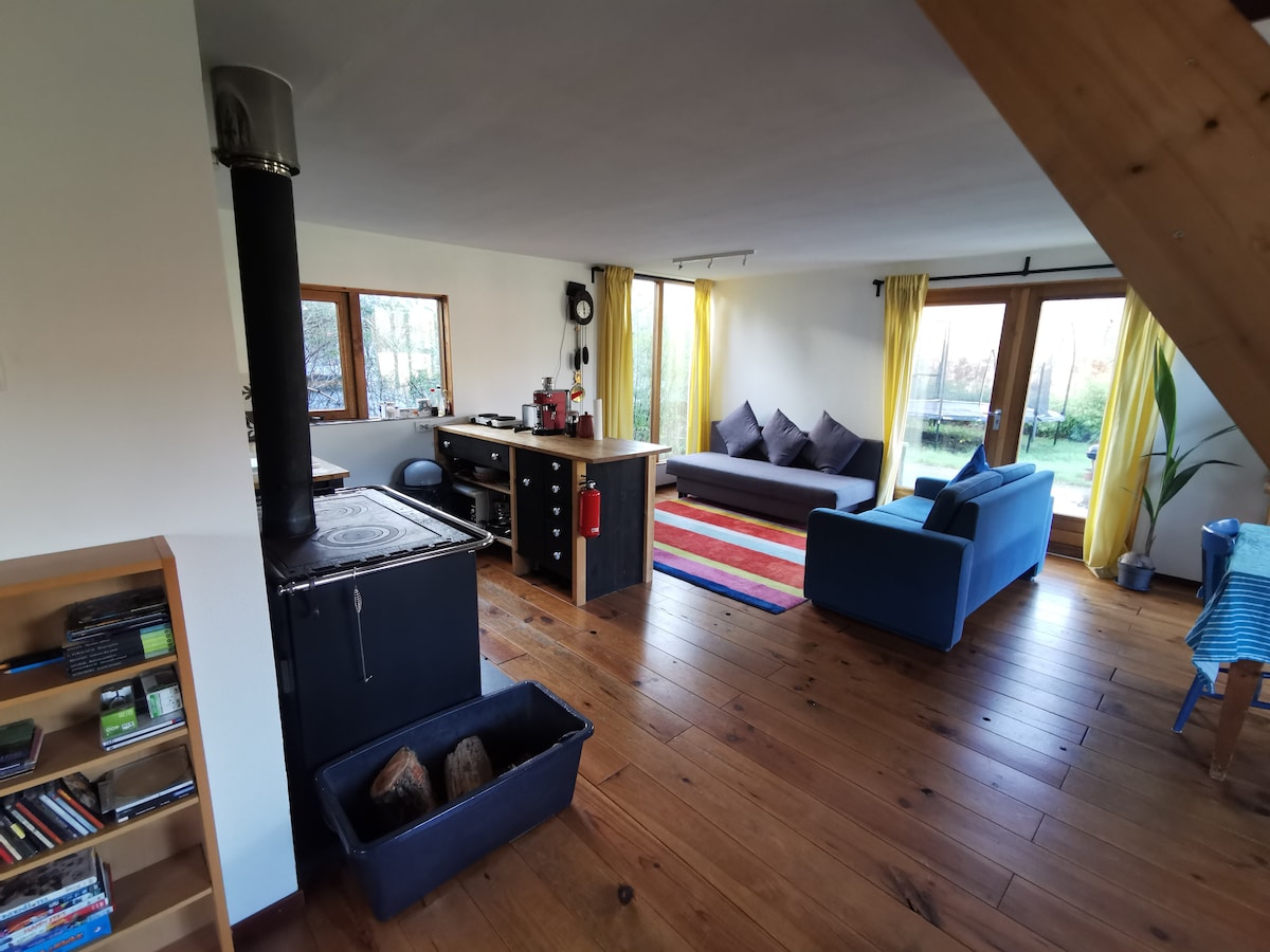A cozy living space features wood flooring and large windows that allow ample natural light. A wood stove stands in the corner, with a small basket of firewood beside it. A blue sofa and a multi-colored area rug complement the comfortable seating area.
