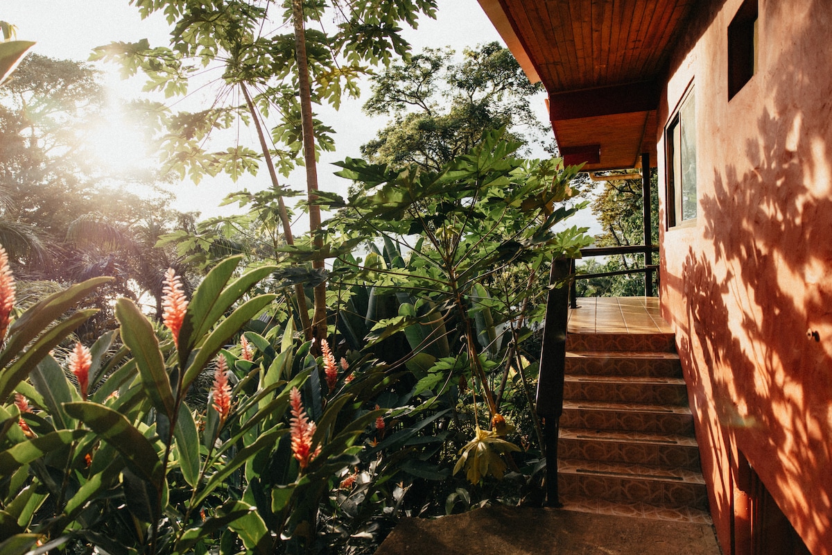 The image captures a pathway leading up to a casita, framed by lush greenery and flowering plants. The warm light of the sun filters through the trees, creating a soft glow over the vibrant flora that surrounds the entrance, inviting guests to explore the tranquil setting.