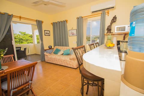Top performing Airbnb: Isla Voyager in Isla Mujeres