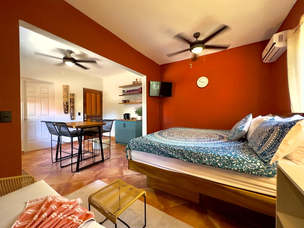 Tropical Studio Comfort in the Heart of Las Palmas