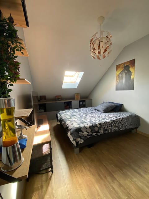 Duplex room, separate entrance, private bathroom