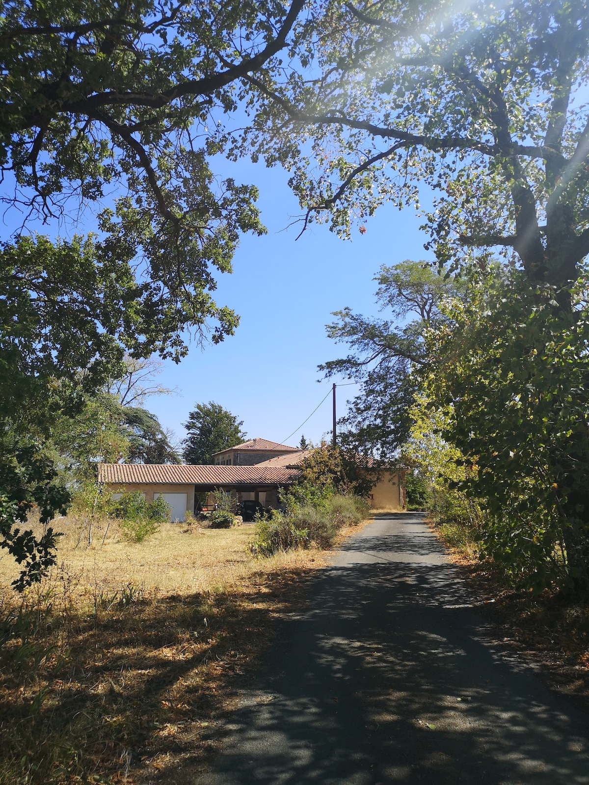 A tranquil path leads to a charming country house, framed by tall trees and illuminated by sunlight. The landscape features dry grass and scattered foliage, creating a natural setting that invites exploration.