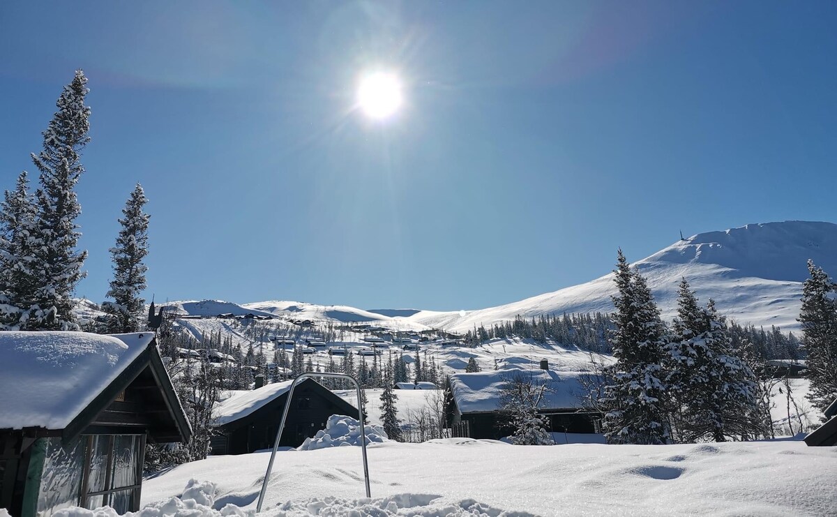 A bright winter landscape is depicted, with the sun shining over a snowy scene. The image features snow-covered roofs of nearby cabins and distant mountains blanketed in white. Evergreen trees stand tall, contributing to the serene winter atmosphere.