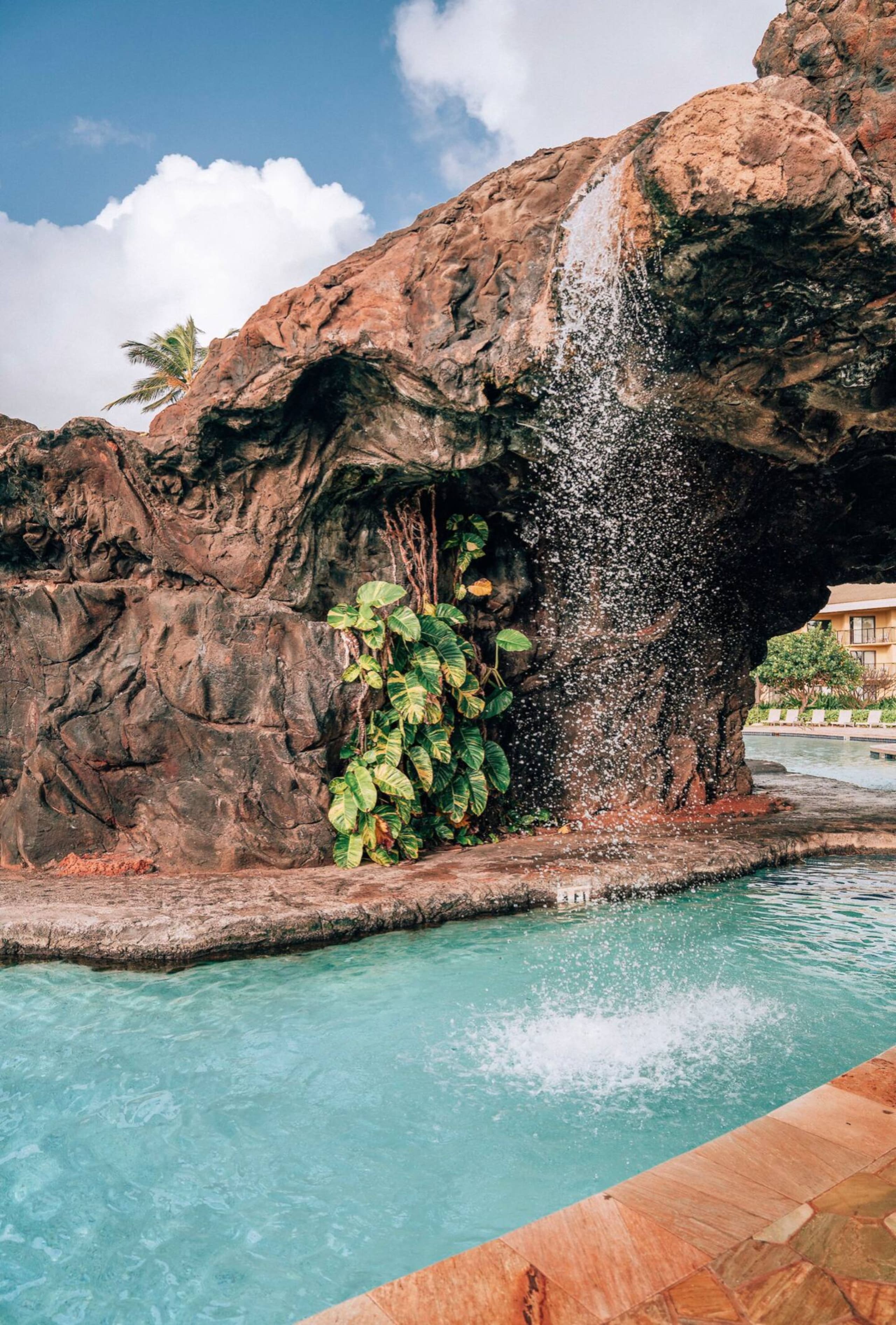 Condo in Lihue · ★4.82 · Studio · 2 beds · 1 shared bath - Image 26