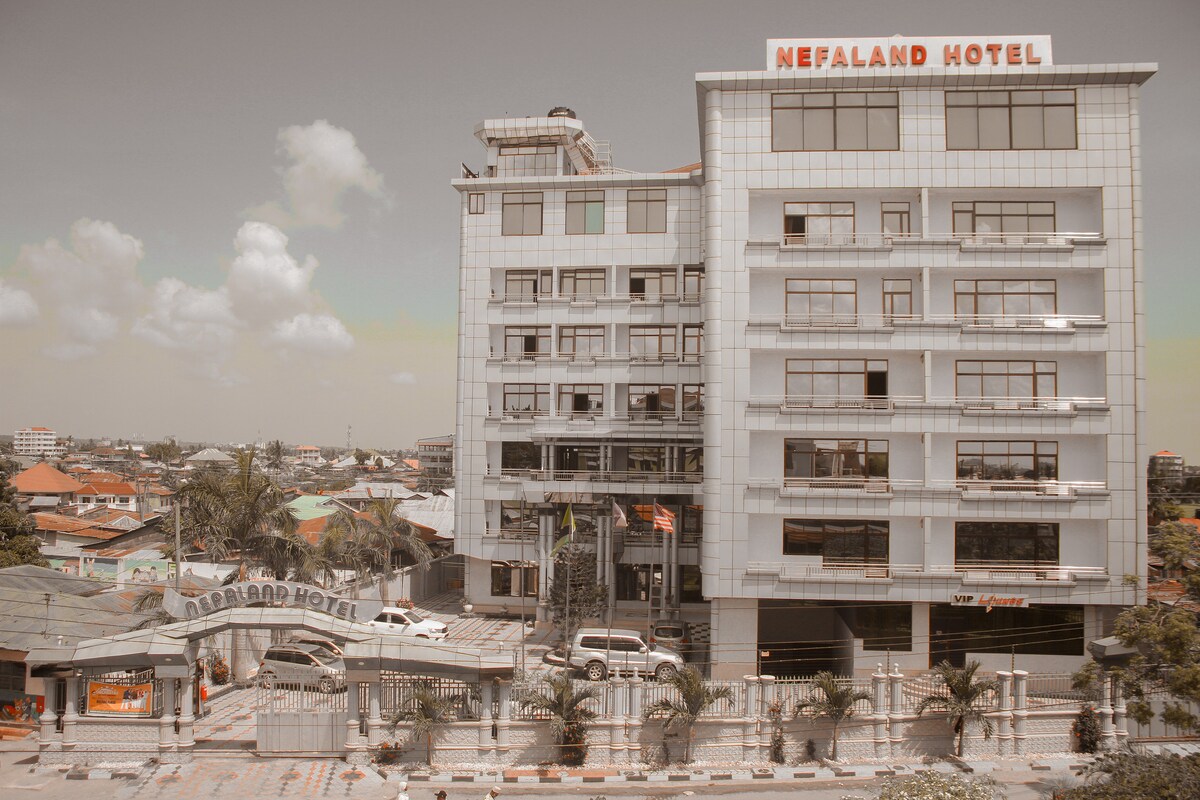 The exterior of Nefaland Hotel showcases a modern, multi-story structure with large windows and a prominent hotel sign. The entrance features a gated area with palm trees lining the path, and the surrounding urban landscape includes distant buildings and greenery.