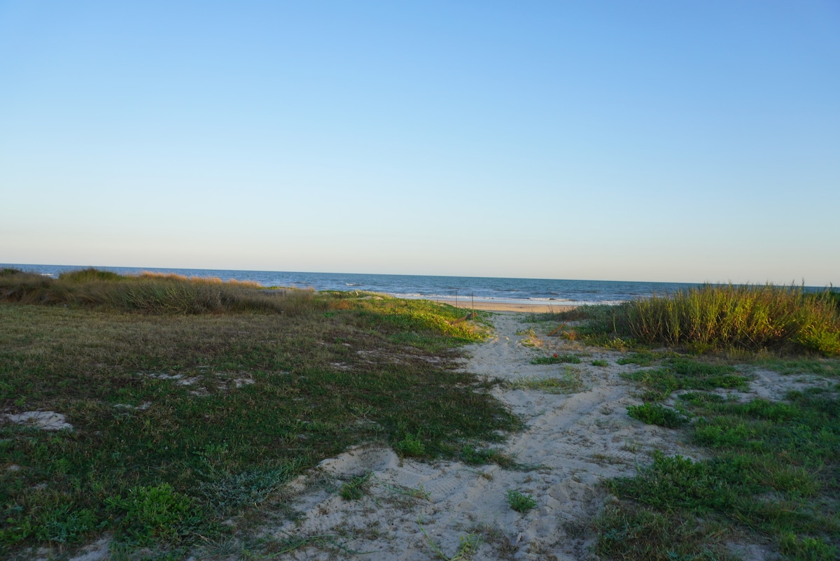 A serene beach scene is depicted, featuring soft sandy pathways leading to the ocean. Lush green grasses and shrubs border the foreground, while the calm sea and clear sky establish a tranquil atmosphere.