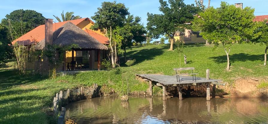 A rustic cabin with a thatched roof is set amidst lush greenery, overlooking a serene pond. A wooden dock extends over the water, providing a peaceful spot for relaxation. Surrounding trees add to the natural ambiance of the property.