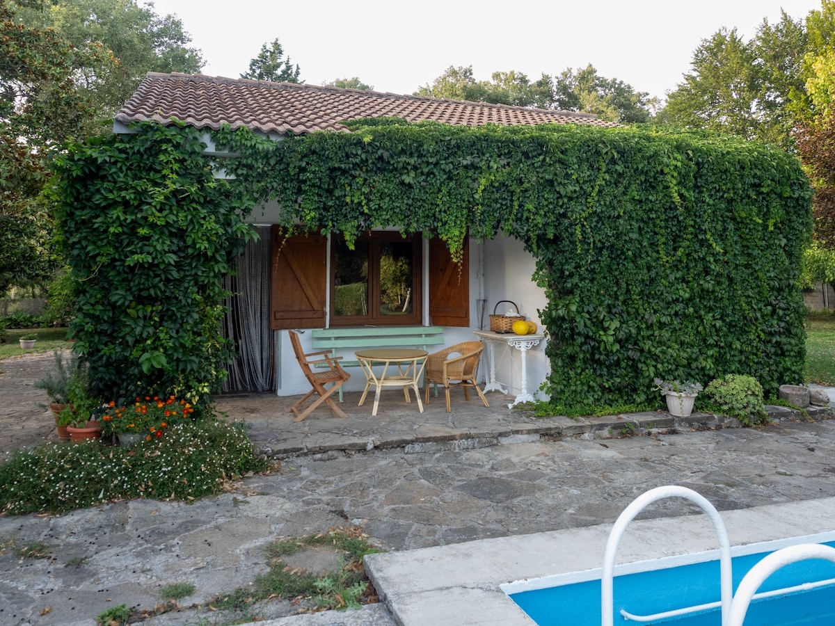 A charming exterior view of a cabin is presented, with verdant vines covering the walls. A light green table and four wooden chairs are positioned on a stone patio, complemented by potted plants. A swimming pool is visible in the foreground.