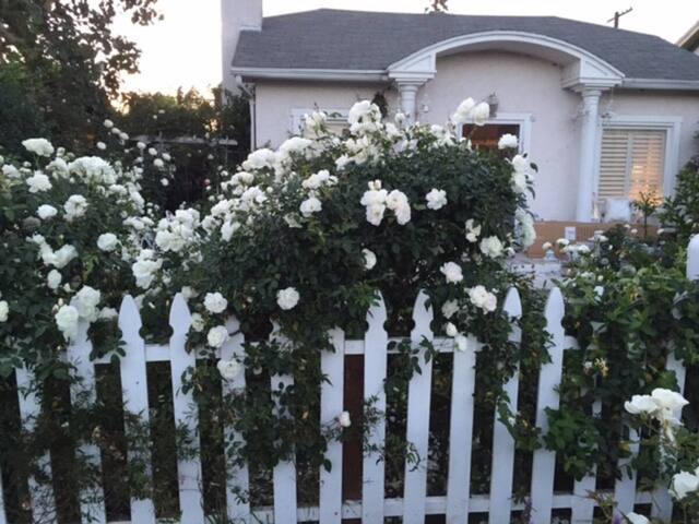 dreamy white Venice house ;enjoy the holidays here