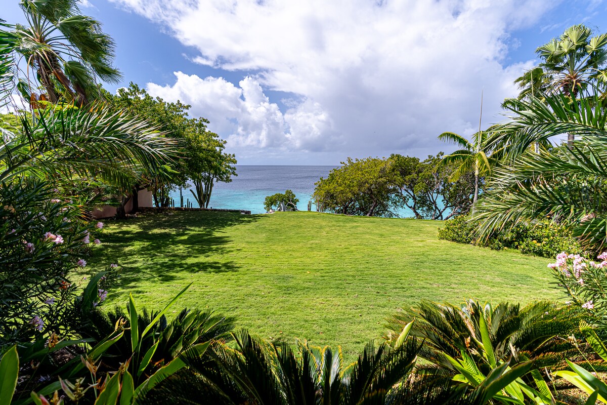 A spacious green lawn leads to the ocean, framed by lush tropical plants and palm trees. The clear blue water and distant horizon are visible, with fluffy white clouds scattered across the sky, creating a serene coastal atmosphere.