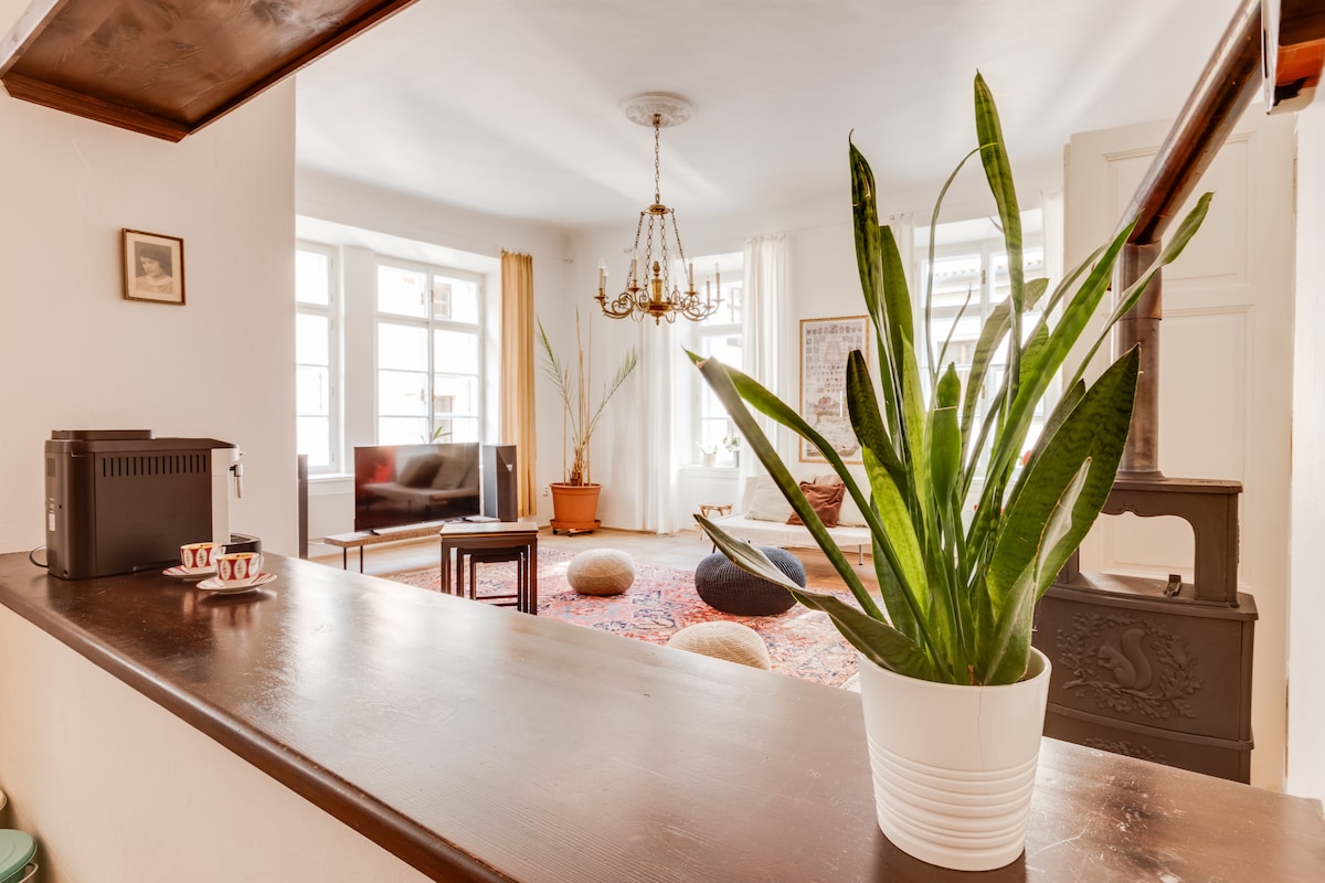 Welcome in great historic house in immediate center of Prague Old Town. Find yourself in the middle of most picturesque alleys and tortuous passages of Praga Magica. Comfortable, cozy and large 2BDR apartment in the third floor with elevator.